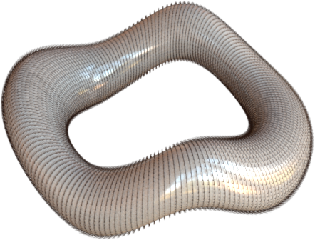 Wavy torus bitangent